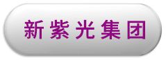 新壹定发集团